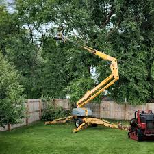 Best Utility Line Clearance  in Columbus, WI