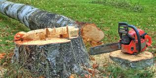 Columbus, WI Tree Services Company