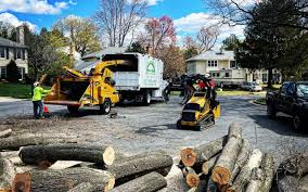 Best Lawn Maintenance Plans  in Columbus, WI
