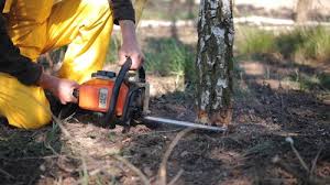 Best Commercial Tree Services  in Columbus, WI