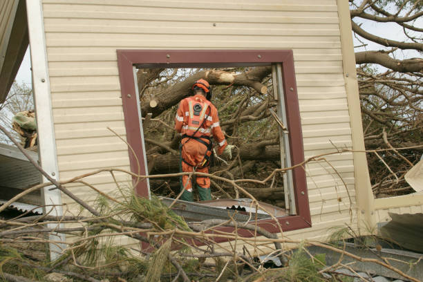 Best Fruit Tree Pruning  in Columbus, WI